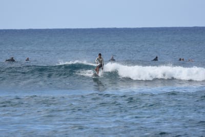 DSC_9307.JPG