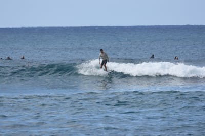 DSC_9309.JPG
