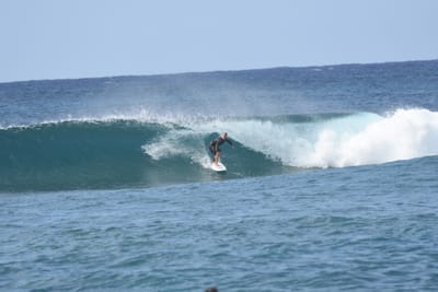 DSC_9310.JPG