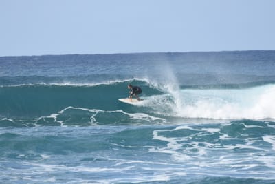 DSC_9311.JPG