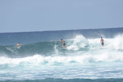 DSC_9316.JPG