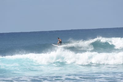 DSC_9317.JPG