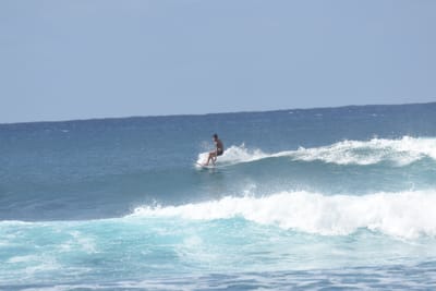 DSC_9318.JPG