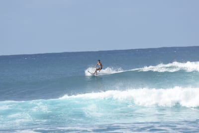 DSC_9319.JPG