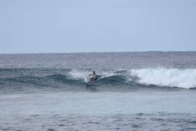DSC_9321.JPG