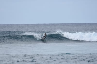 DSC_9323.JPG