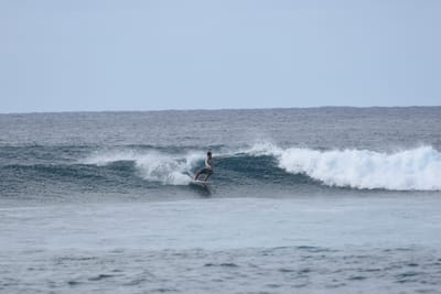 DSC_9324.JPG