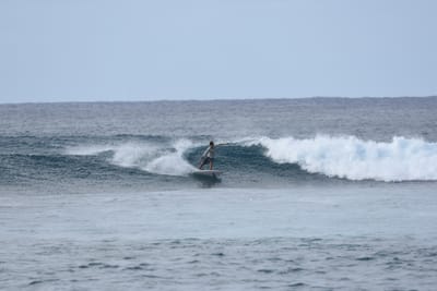 DSC_9325.JPG