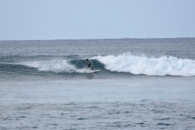 DSC_9327.JPG