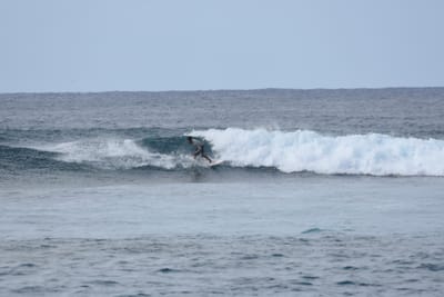 DSC_9328.JPG