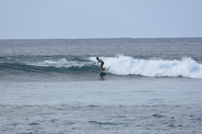 DSC_9329.JPG