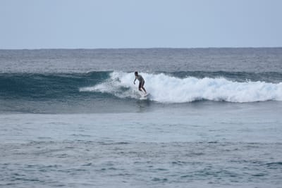 DSC_9330.JPG