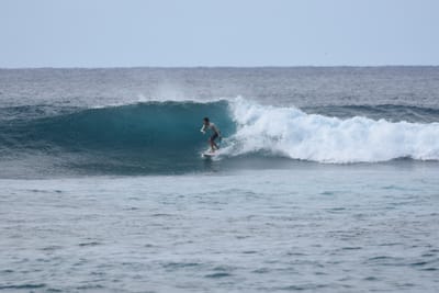 DSC_9331.JPG