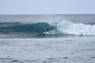 DSC_9334.JPG