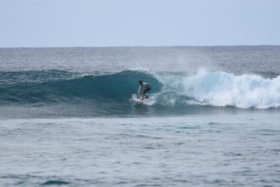 DSC_9335.JPG