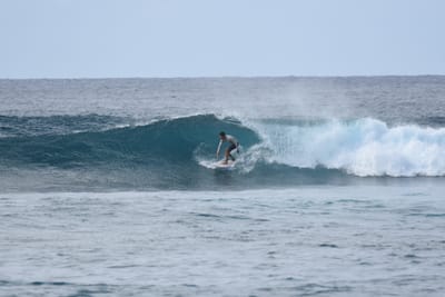 DSC_9336.JPG
