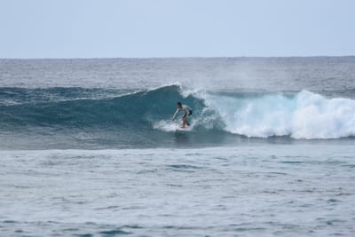 DSC_9337.JPG
