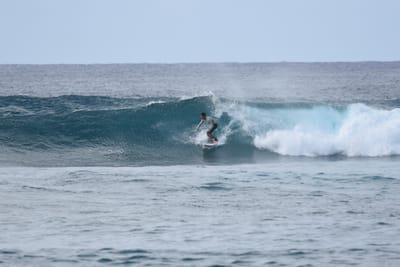 DSC_9338.JPG