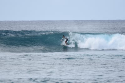 DSC_9339.JPG