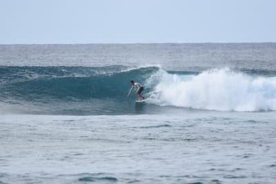 DSC_9341.JPG