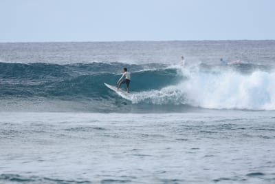 DSC_9344.JPG