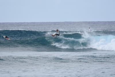 DSC_9346.JPG