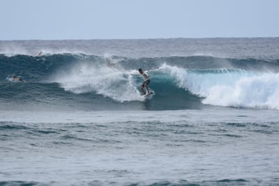 DSC_9353.JPG