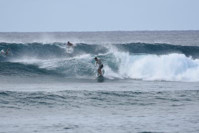 DSC_9354.JPG