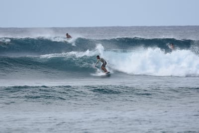 DSC_9355.JPG