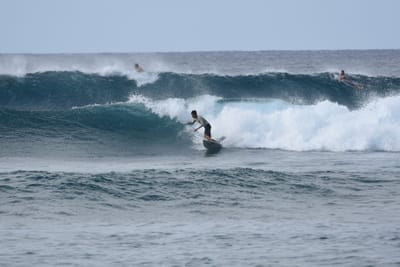 DSC_9356.JPG