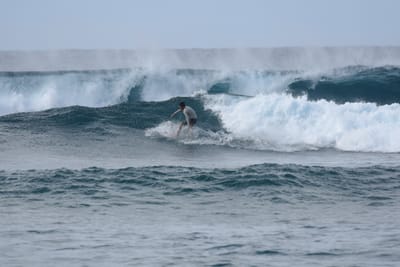 DSC_9359.JPG