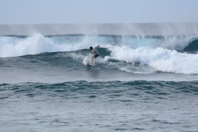 DSC_9361.JPG