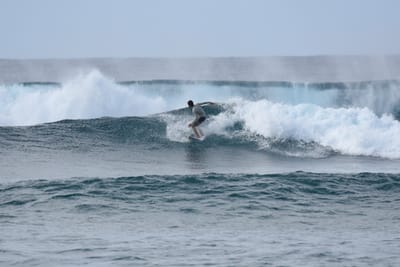 DSC_9362.JPG