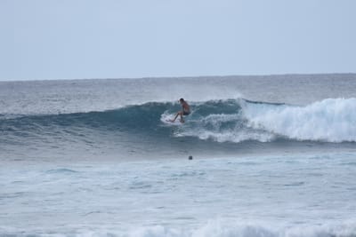 DSC_9367.JPG