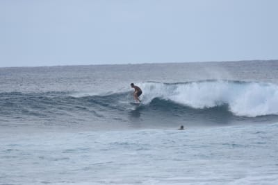 DSC_9371.JPG