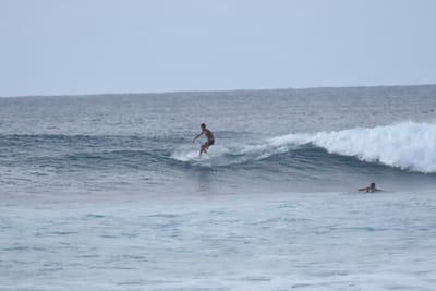 DSC_9374.JPG