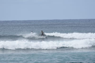 DSC_9377.JPG