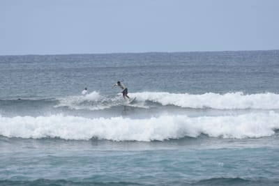 DSC_9379.JPG