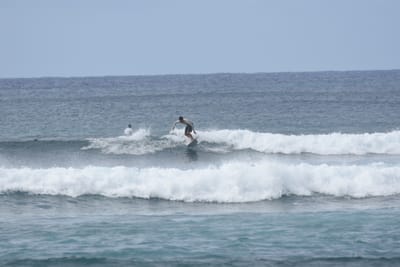 DSC_9380.JPG