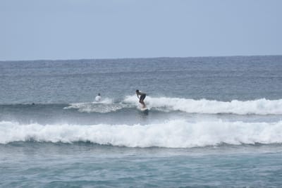 DSC_9381.JPG
