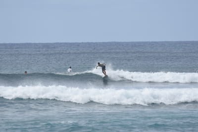 DSC_9382.JPG