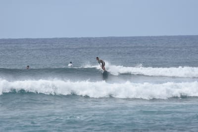 DSC_9383.JPG
