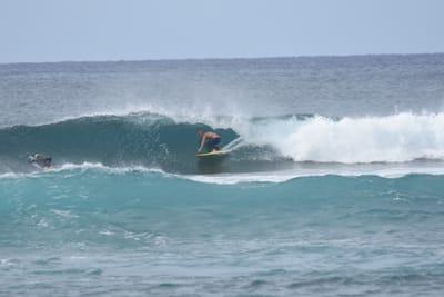 DSC_9384.JPG