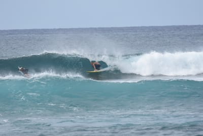 DSC_9385.JPG