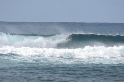 DSC_9386.JPG