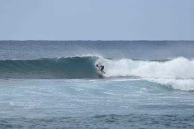 DSC_9387.JPG