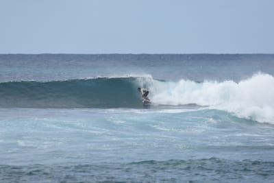 DSC_9388.JPG