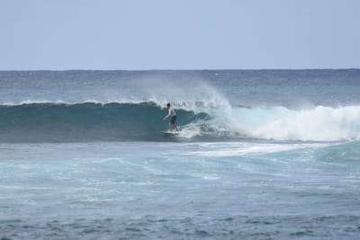 DSC_9390.JPG