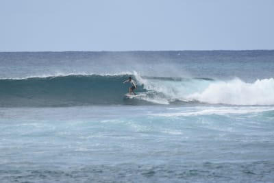 DSC_9391.JPG