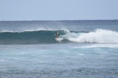 DSC_9392.JPG